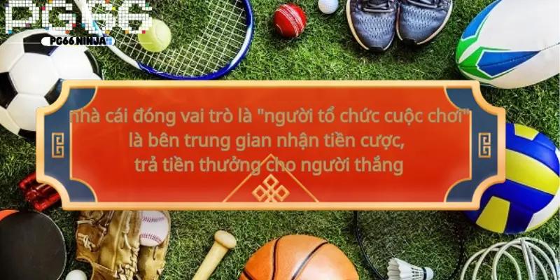 psa.uk.com__Nhà cái cá cược là gì